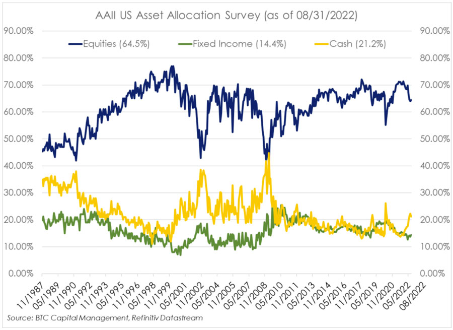 AAII US Asset Allocation Survey Sept 2022