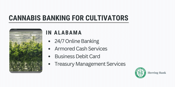 Alabama Cannabis Banking