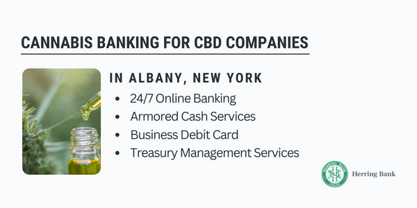 Albany NY CBD Banking