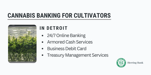 Detroit Cannabis Banking