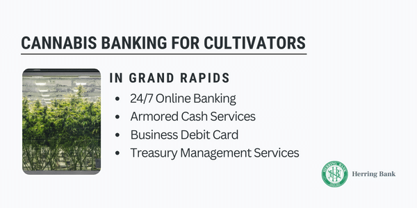 Grand Rapids Cannabis Banking