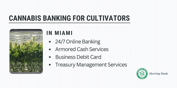 Miami Cannabis Banking