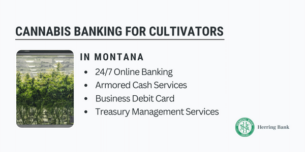 Montana Cannabis Banking