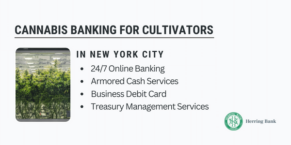 New York City Cannabis Banking