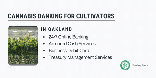 Oakland Cannabis Banking