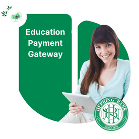 | Herring Bank Payment gateway illustration