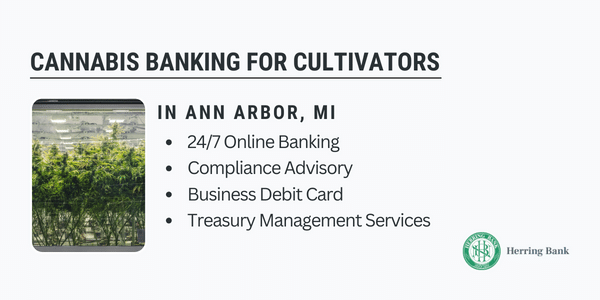 Ann Arbor Cannabis Banking