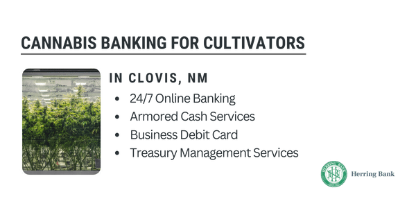 Clovis Cannabis Bank