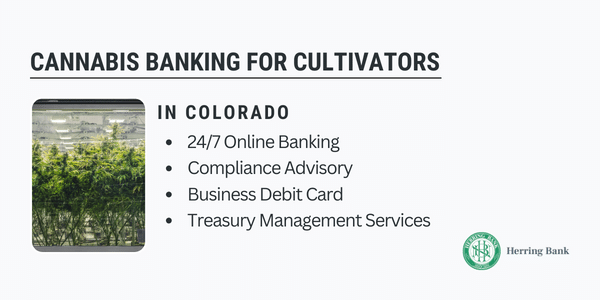 Colorado Cannabis Banking