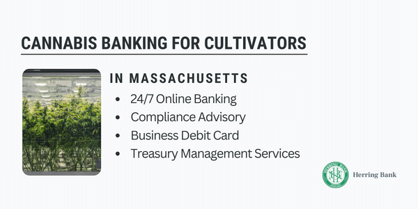 Massachusetts Cannabis Banking