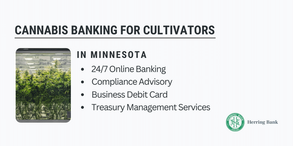 Minnesota Cannabis Banking