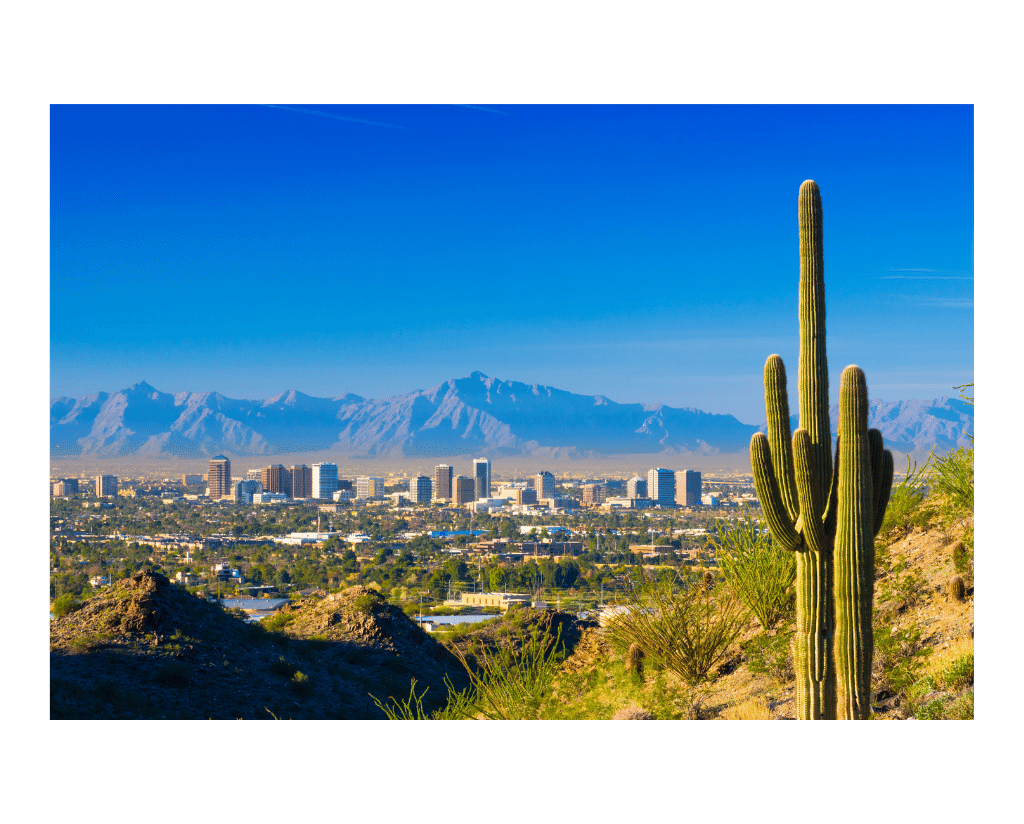 Phoenix marijuana bank