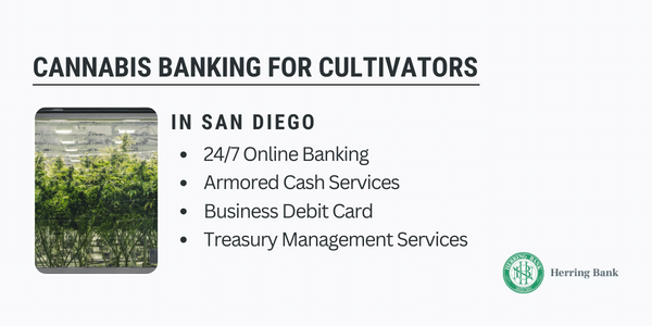 San Diego Cannabis Banking