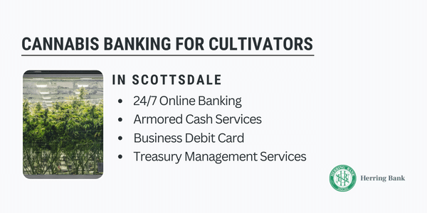 Scottsdale Cannabis Banking