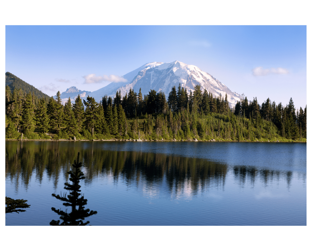 Washington marijuana bank