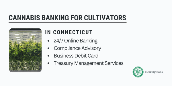 Connecticut Cannabis Banking