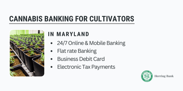 Maryland-Marijuana-Banking-Services