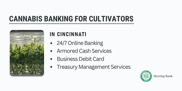 Cannabis banking for cultivators in Cincinnati Cannabis banking for cultivators in Cincinnati