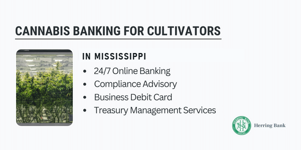 Cannabis banking for cultivators in Mississippi Cannabis banking for cultivators in Mississippi