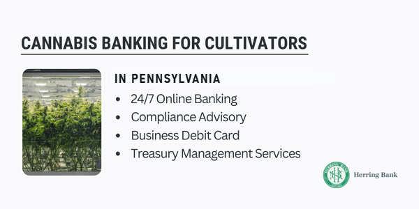 Cannabis banking for cultivators in Pennsylvania Cannabis banking for cultivators in Pennsylvania